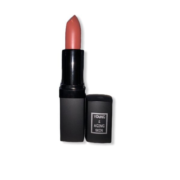 A creamy lipstick in a neutral shade